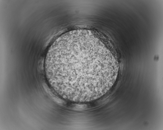 X0000114190458200911200940