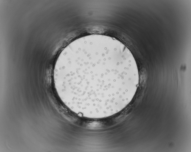 X0000114190460200911200940