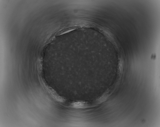 X0000114190461200911200940