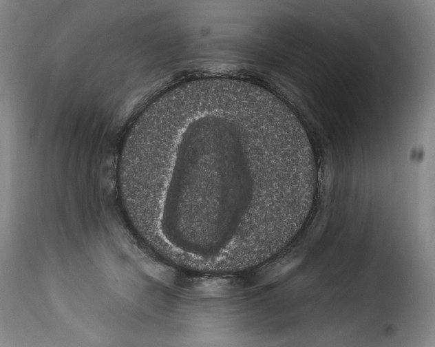 X0000114190462200911200940