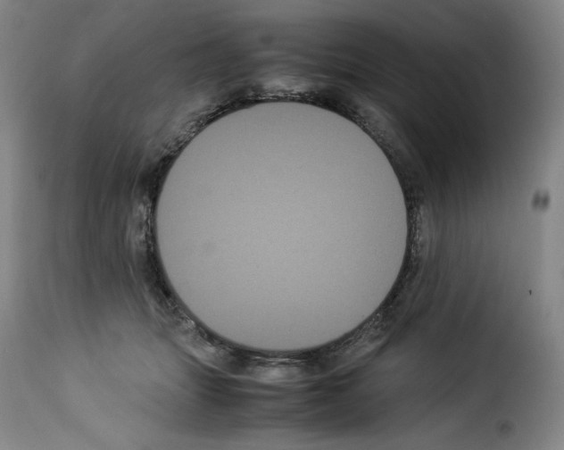 X0000114190463200911200940