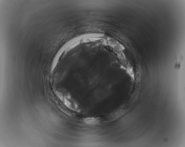 X0000114190465200911200941