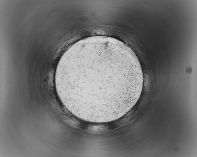 X0000114190466200911200941