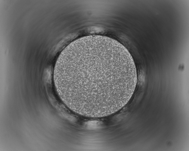 X0000114190468200911200941