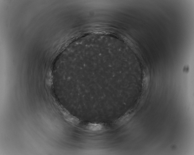 X0000114190469200911200941