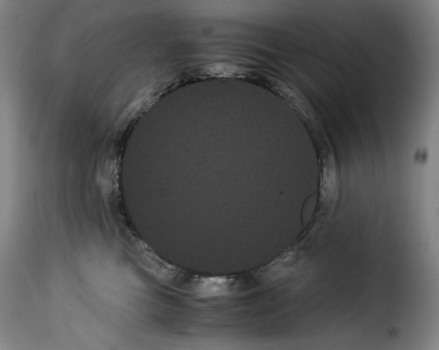 X0000114190473200911200941