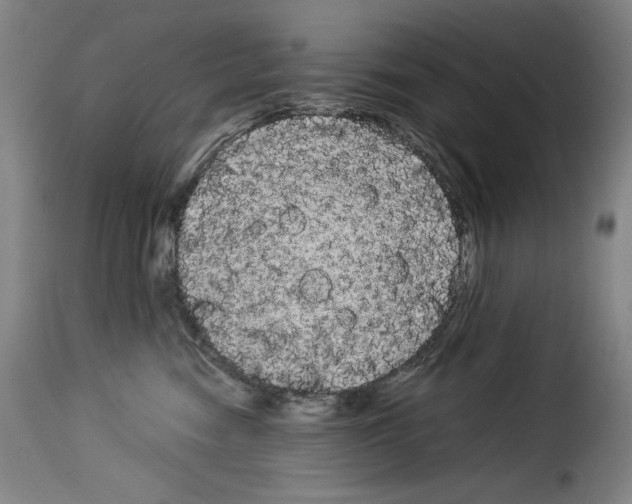 X0000114190474200911200941