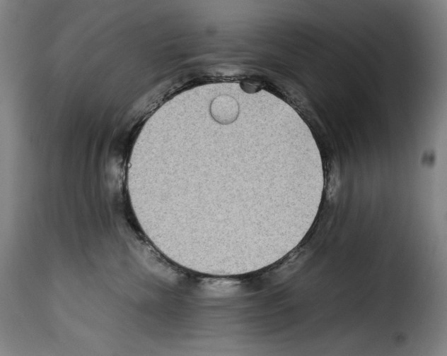 X0000114190476200911200941