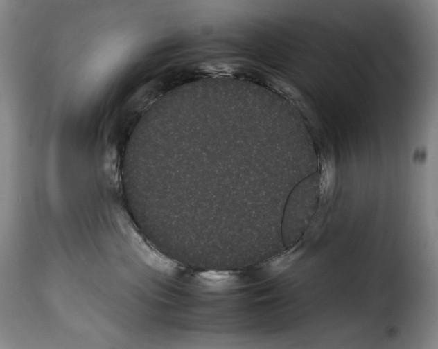 X0000114190477200911200941