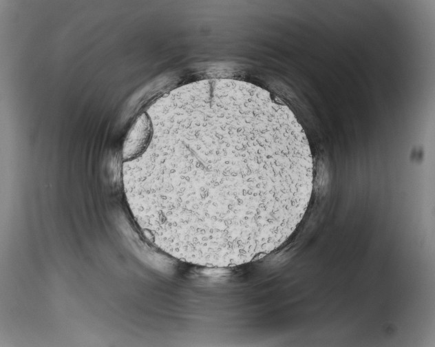 X0000114190478200911200941