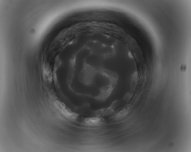X0000114190479200911200941