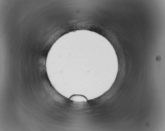 X0000114190480200911200941