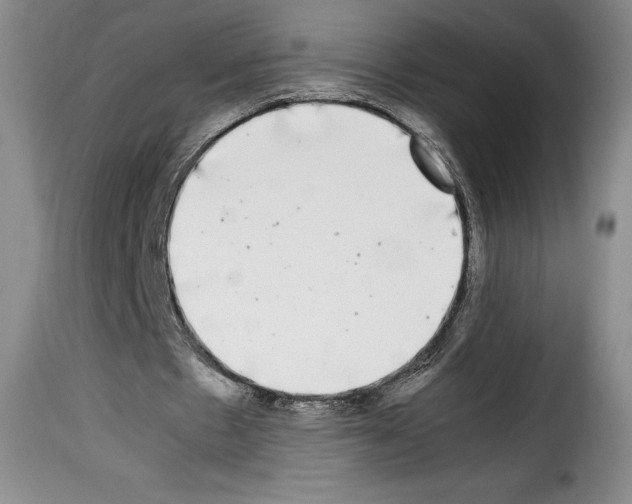 X0000114190481200911200940