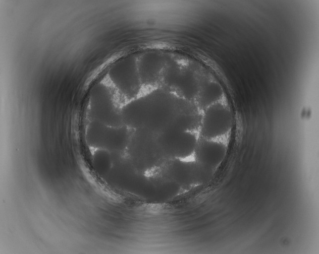 X0000114190482200911200940