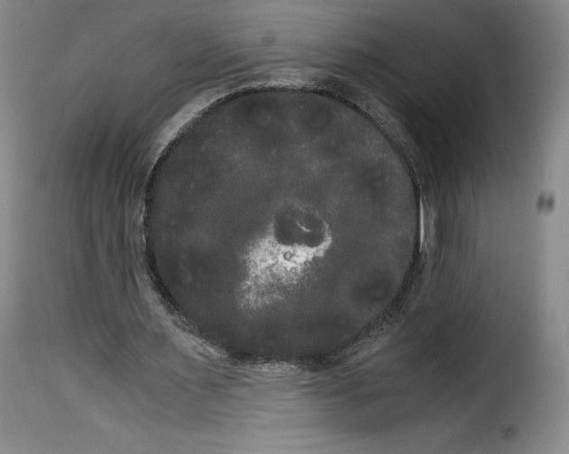 X0000114190483200911200940