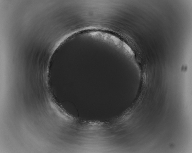X0000114190484200911200940