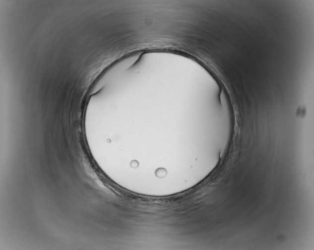 X0000114190485200911200940