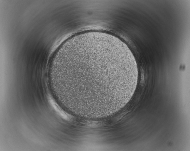 X0000114190486200911200940