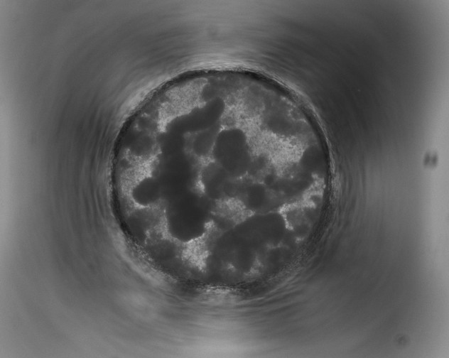 X0000114190487200911200940
