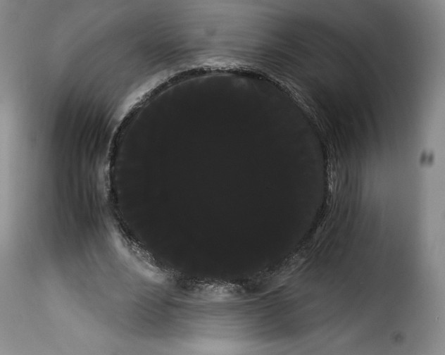 X0000114190488200911200940