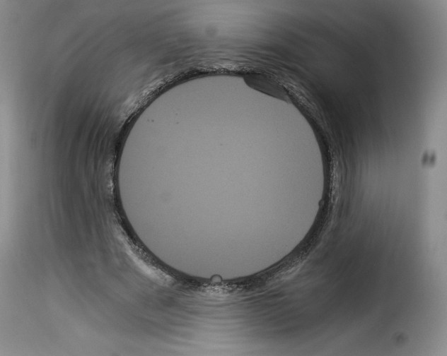 X0000114190489200911200940