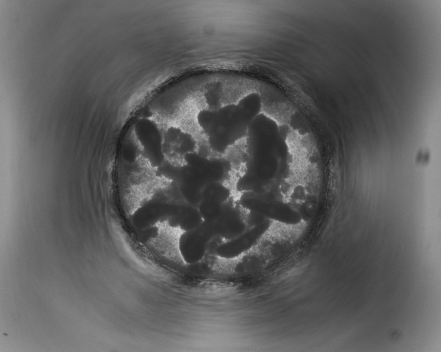 X0000114190491200911200940