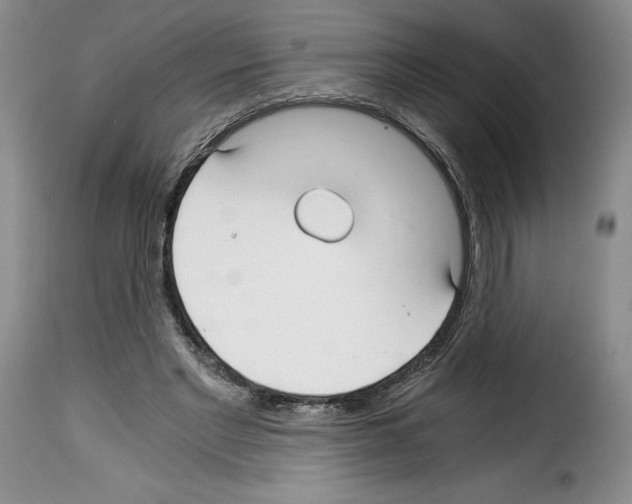 X0000114190493200911200940