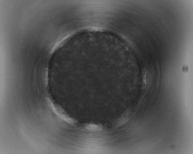 X0000114190494200911200940