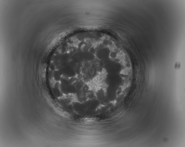 X0000114190495200911200940