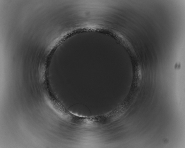 X0000114190496200911200940