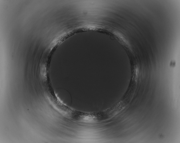 X0000114190500200911200940