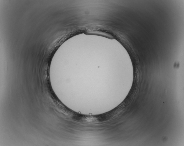 X0000114190501200911200940