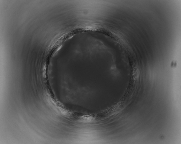 X0000114190502200911200940