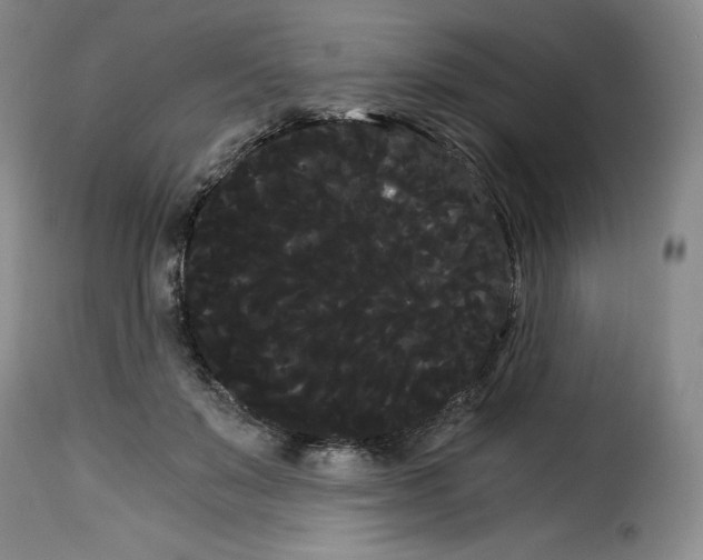 X0000114190503200911200940