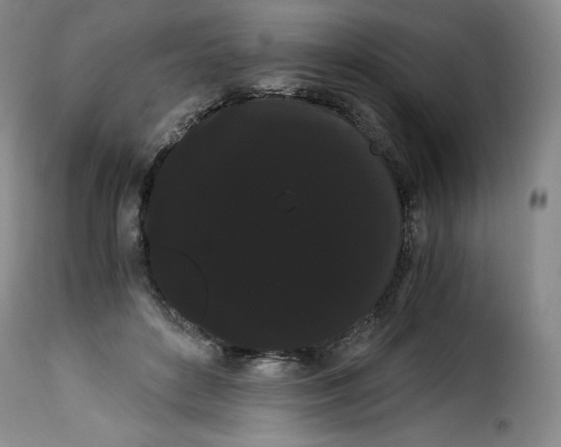 X0000114190504200911200940