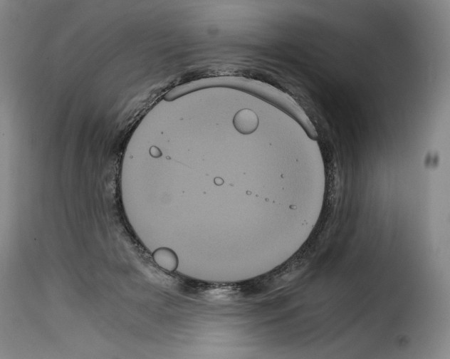 X0000114190505200911200940
