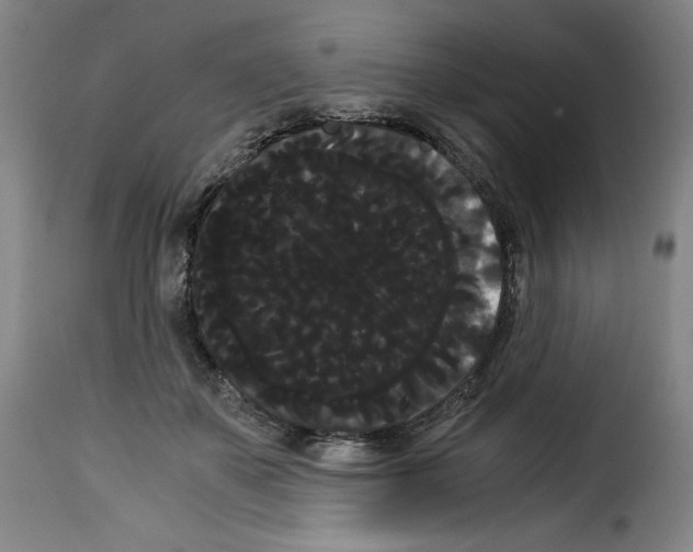 X0000114190507200911200940