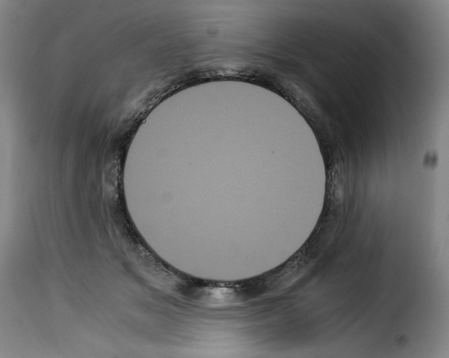 X0000114190509200911200940