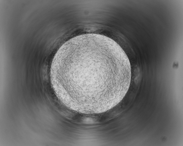 X0000114190510200911200940