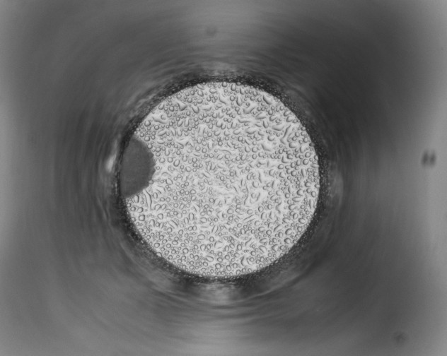 X0000114190511200911200939
