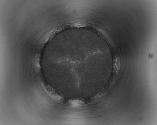 X0000114190512200911200939