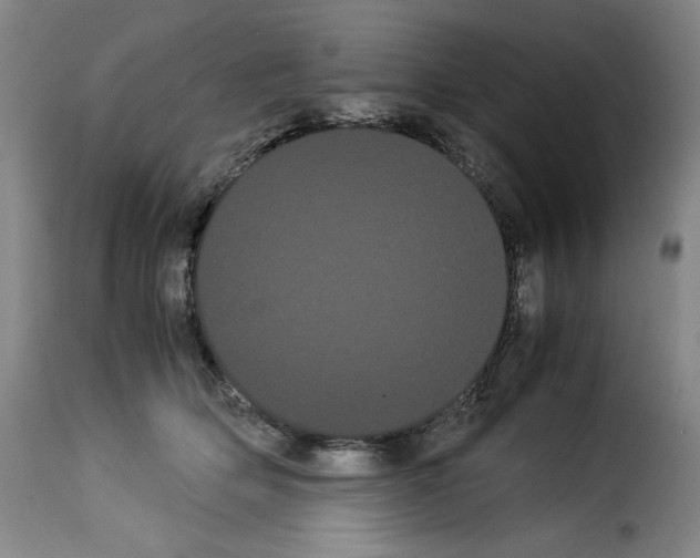 X0000114190514200911200939
