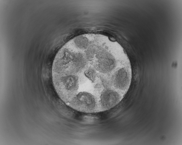 X0000114190515200911200939