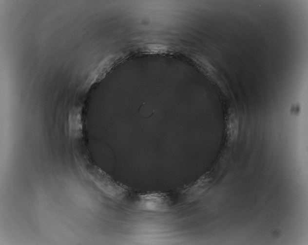 X0000114190516200911200939