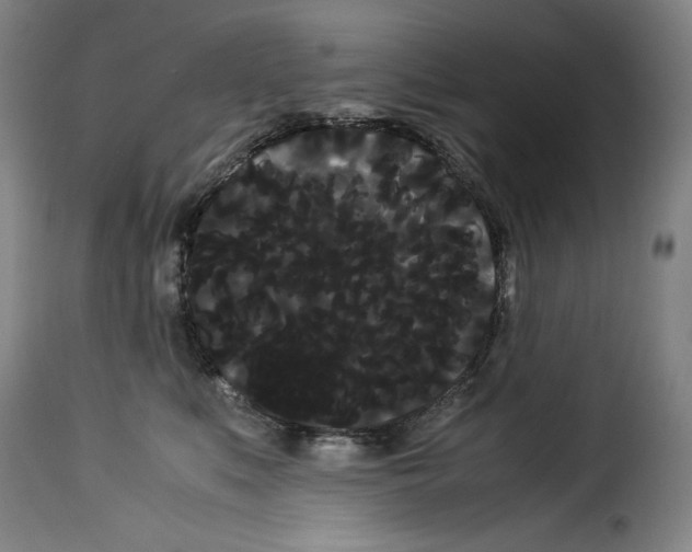 X0000114190519200911200939