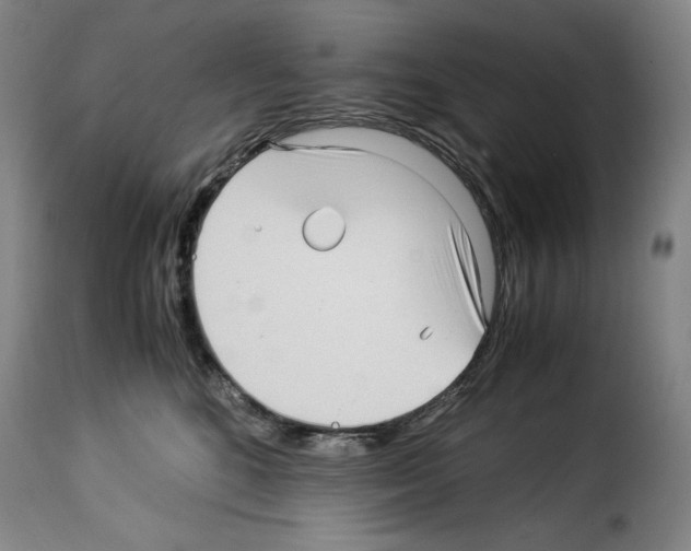 X0000114190520200911200939