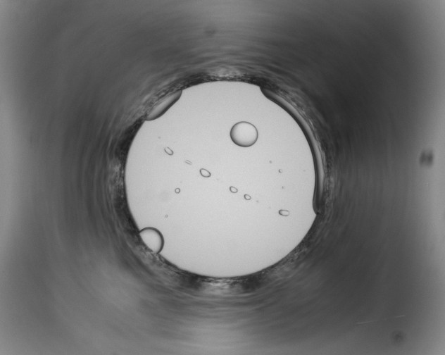 X0000114190521200911200939