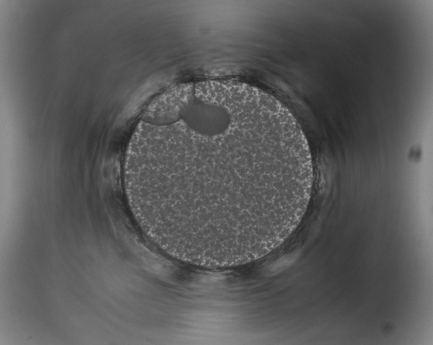 X0000114190523200911200939