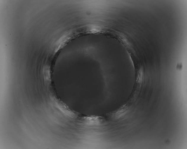 X0000114190524200911200939