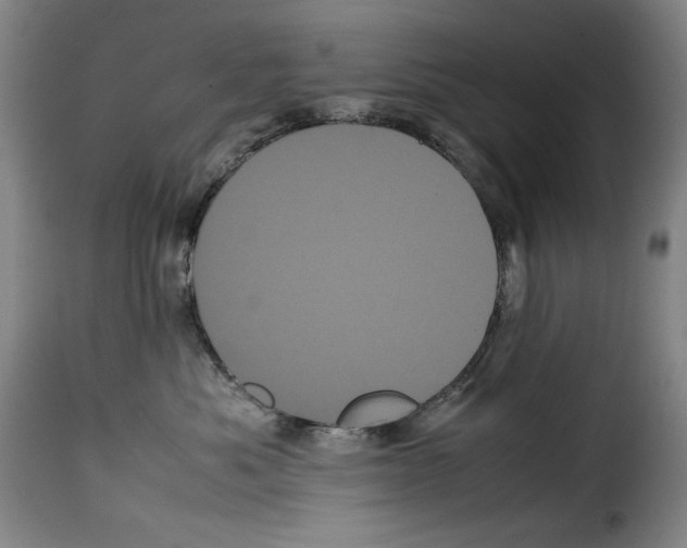X0000114190525200911200939